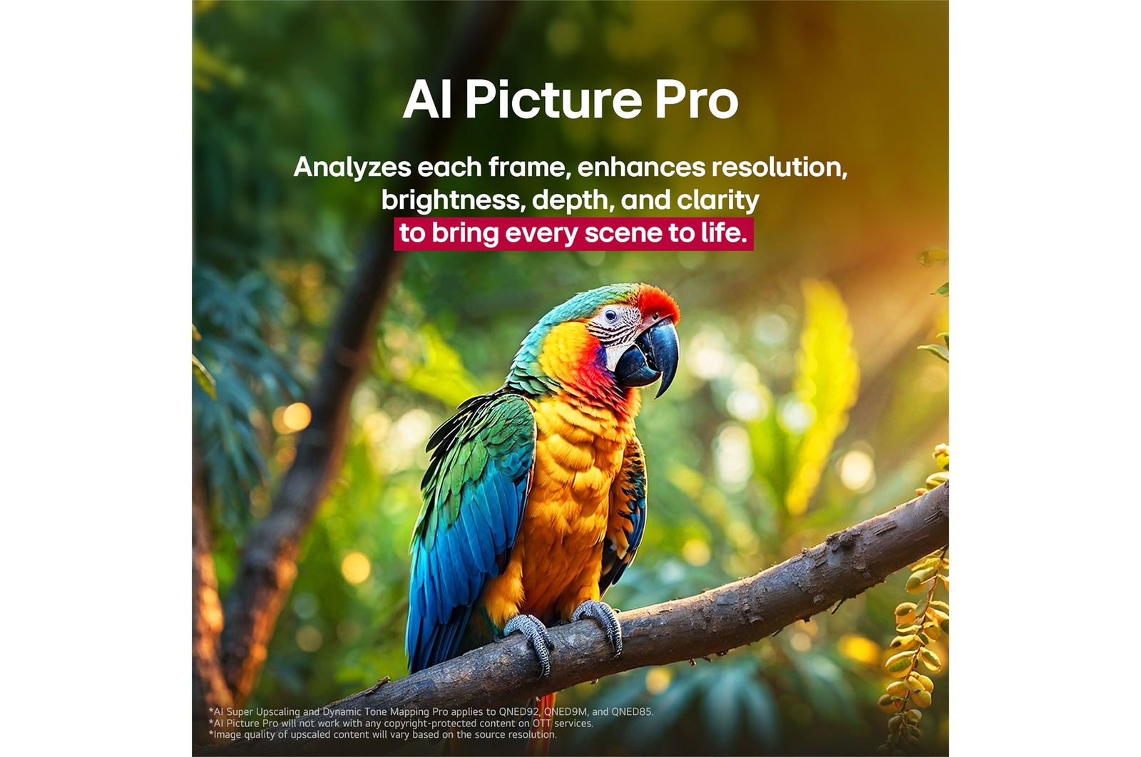 Loro en la rama de un árbol en colores vivos. El título habla de cómo LG Al Picture Pro ha conseguido impresionantes mejoras visuales en la resolución, el brillo, la profundidad y la claridad de la escena.
