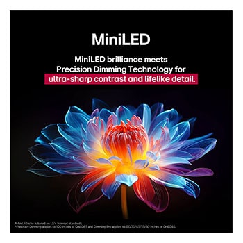 Flor holográfica en 3D con diferentes sombras y tonos sobre fondo negro. La definición y el detalle de la flor resaltan la capacidad del MiniLED de QNED de producir imágenes con color, brillo y contraste excepcionales. El título habla de cómo MiniLED mejora la claridad y proporciona un contraste excepcional.