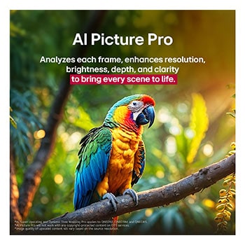Loro en la rama de un árbol en colores vivos. El título habla de cómo LG Al Picture Pro ha conseguido impresionantes mejoras visuales en la resolución, el brillo, la profundidad y la claridad de la escena.