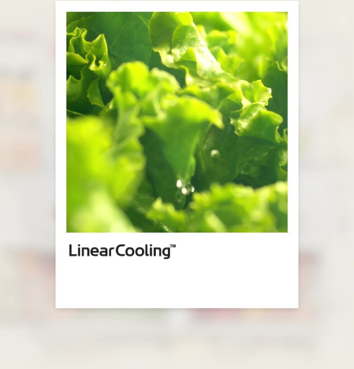 La tecnología LinearCooling™ se muestra en un video corto.