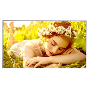 Vista frontal de UHD Signage 65UL5Q-E