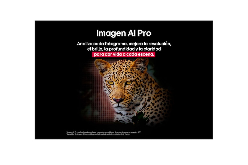 Leopard in the forest in vivid color and detail. The leopard has a grid and a light glowing behind it, indicating how LG AI Picture Pro made impressive visual enhancements to the scene's resolution, brightness, depth, and clarity.