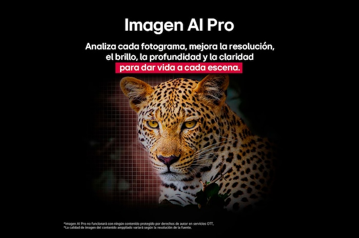 Leopardo en el bosque en colores vivos y con gran detalle. El leopardo tiene una cuadrícula y una luz que brilla detrás de él, lo que indica cómo LG AI Picture Pro realizó impresionantes mejoras visuales en la resolución, el brillo, la profundidad y la claridad de la escena.