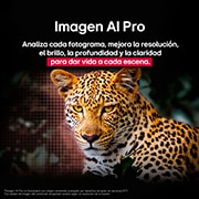 Leopardo en el bosque en colores vivos y con gran detalle. El leopardo tiene una cuadrícula y una luz que brilla detrás de él, lo que indica cómo LG AI Picture Pro realizó impresionantes mejoras visuales en la resolución, el brillo, la profundidad y la claridad de la escena.