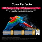 Colorful parrot in ultra-high definition against a black background. Water drops are suspended in the air all around it. The image showcases Perfect Color as each different hue on the parrot's body is vibrant and vivid. The dark background with the detailed water splashes also highlights how the screen is reflection-free. Different logo certifications from UL and Intertek are visible. These refer to its 100% Color Fidelity, 100% Color Volume, and reflection-free claim. Text is also visible, check the Perfect Color certification mark.