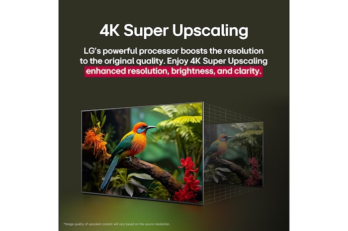Before and after comparison of how LG 4K Super Upscaling improves image quality. Two panels showing the same image of a colorful bird sitting on a branch in a forest, panel on the right is faded out. The title talks about how 4K Super Upscaling enhances resolution, brightness and clarity.