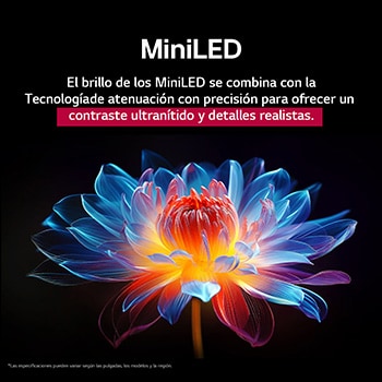 Flor holográfica en 3D con diferentes sombras y tonos sobre fondo negro. La definición y el detalle de la flor resaltan la capacidad del MiniLED de QNED de producir imágenes con color, brillo y contraste excepcionales. El título habla de cómo MiniLED mejora la claridad y proporciona un contraste excepcional.