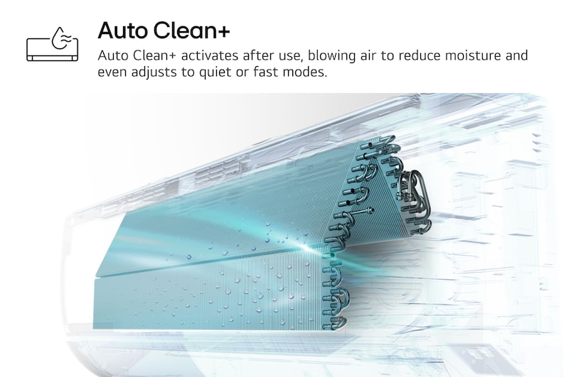 Auto clean+