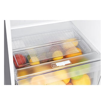 Freezer view