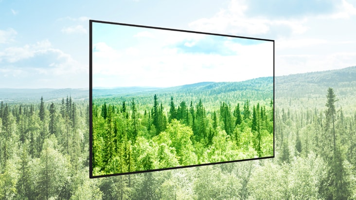 LG recibió la medalla Platino EcoVadis 2025.