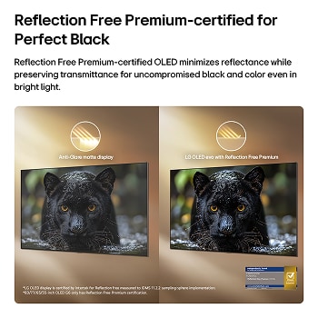 LG OLED evo AI G6 with Reflection Free Premium shows a side-by-side comparison against an anti-glare matte display, keeping the black jaguar image clear with deep blacks and fine texture, especially in bright environments, with an Intertek certification mark shown.