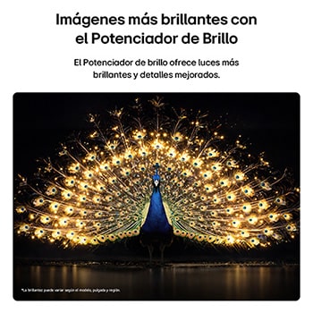 LG OLED evo AI G6 with Brightness Booster shows a dark scene where a brilliantly illuminated peacock spreads its radiant, glowing feathers, delivering brighter highlights with improved detail and striking contrast.