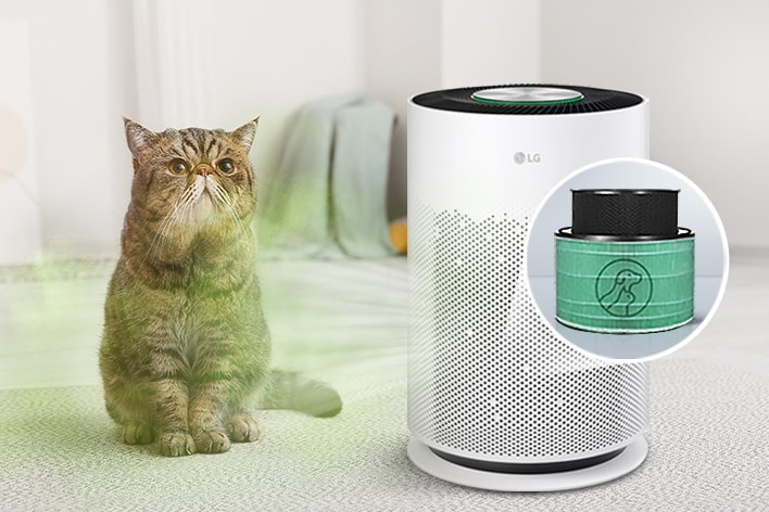 The odor of animals is also absorbed by the product