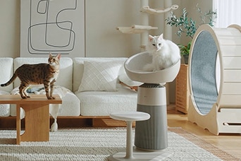 A white cat resting in the top seat of a pet air purifier while another cat stands on a wooden table.
