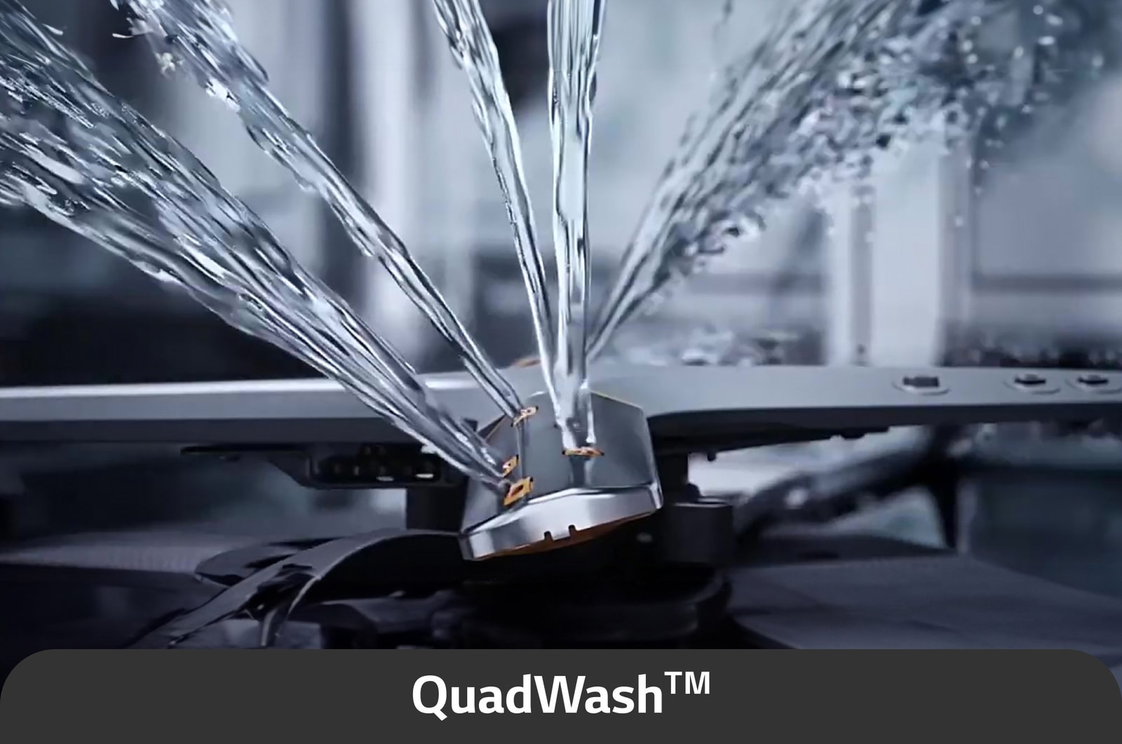 USP image for quad wash
