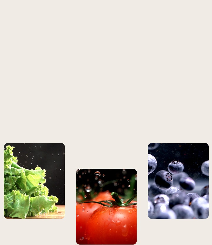 fruits and vegetables such as lettuce, tomatoes, and blueberries are freshly preserved in the product.