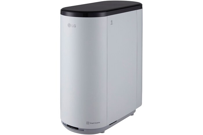 Body Perspective view