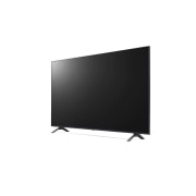 LG UHD TV Signage, 65UR640S0TD