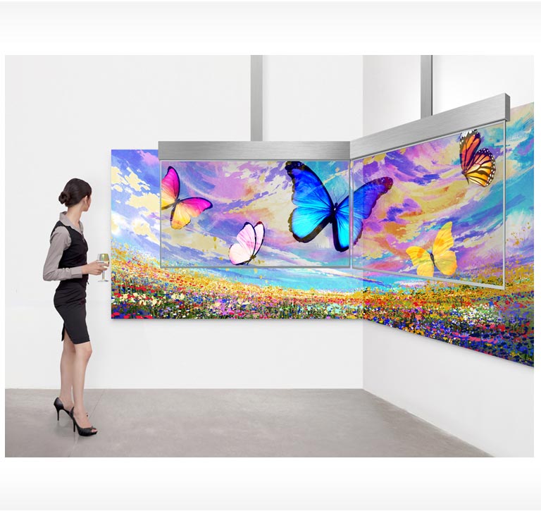 Unrivaled Picture Quality