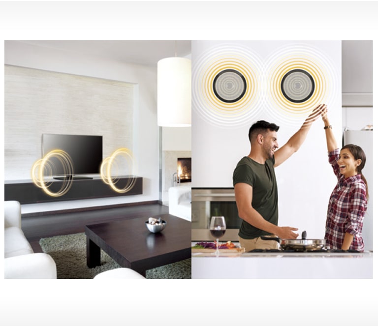 External Speaker Out