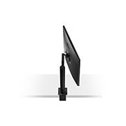 LG 32UN880-B 32 Inch UltraFine™ Display Ergo 4K HDR10 Monitor, 32UN880-B