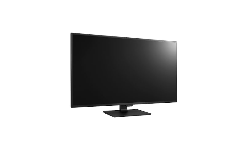 LG 43" Class 4K UHD IPS LED Monitor (42.5" Diagonal), 43UD79-B