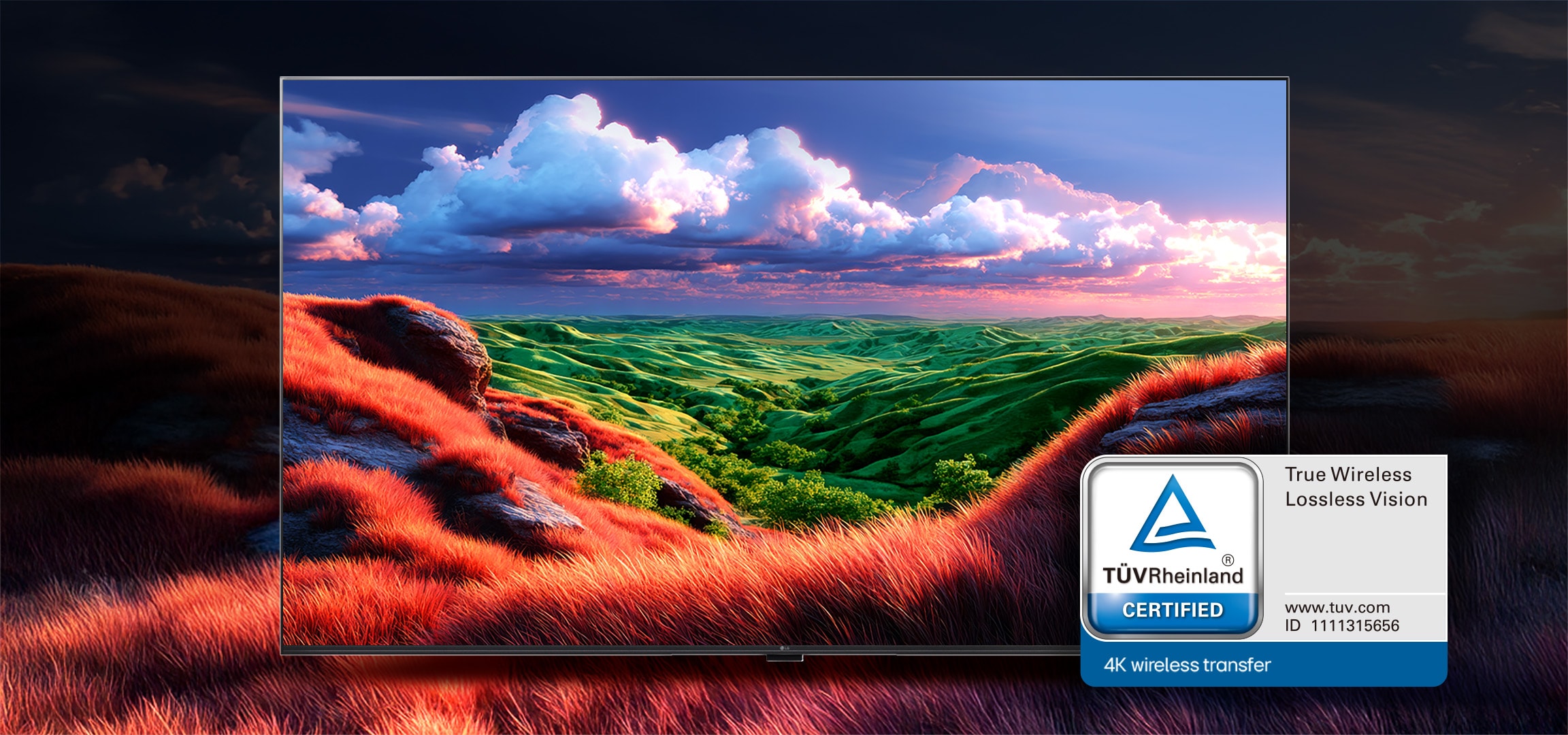 true wireless lossless vision certification