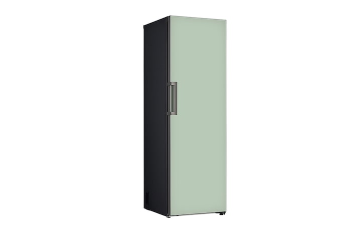 LG 384L Single Door Fridge in Mint Finish, GC-B411FGPF