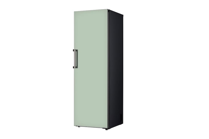 LG 384L Single Door Fridge in Mint Finish, GC-B411FGPF