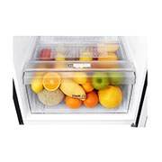 LG 225L Top Freezer Fridge in Western Black Finish, GN-B222SQWB