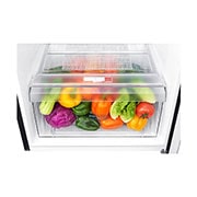 LG 225L Top Freezer Fridge in Western Black Finish, GN-B222SQWB