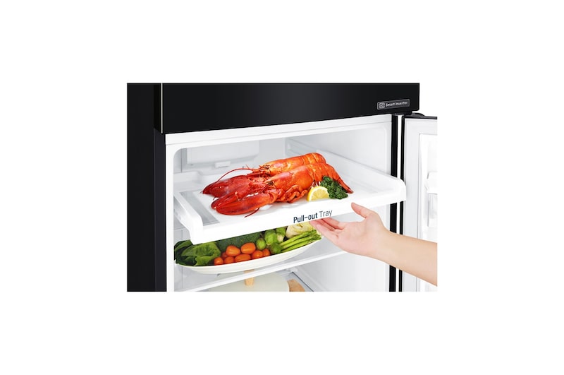 LG 225L Top Freezer Fridge in Western Black Finish, GN-B222SQWB