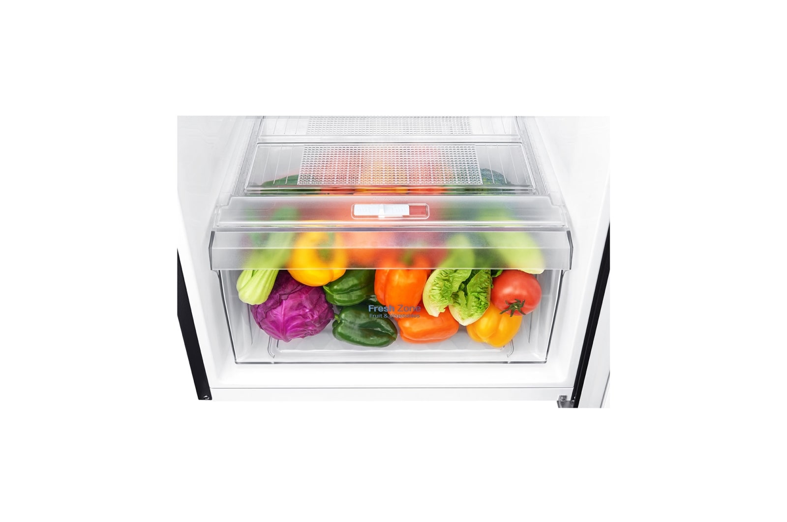LG 225L Top Freezer Fridge in Western Black Finish, GN-B222SQWB