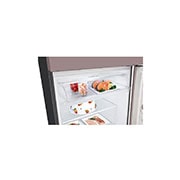 LG 493L Top Freezer Fridge in Clay Pink Finish, GN-B452PPFK