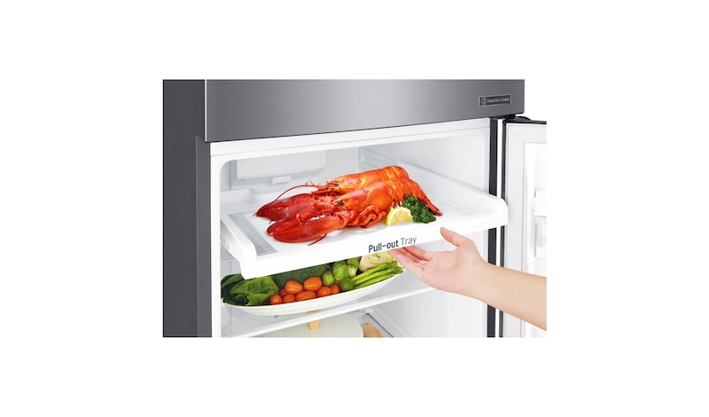 LG IEC Gross 272L Platinum Silver Top Freezer with Inverter Linear Compressor & DoorCooling+, GN-C272SLCN