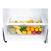 LG 547L Top Freezer Fridge in Platinum Silver Finish , GN-C702HLCC