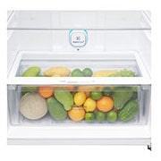 LG 547L Top Freezer Fridge in Black Curved Glass Finish , GN-C702SGGC