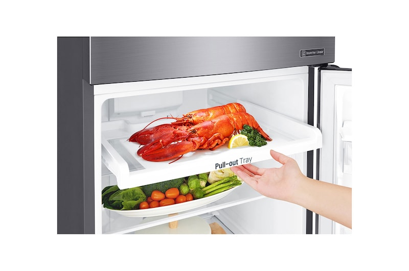 LG 272L Top Freezer Fridge in Dark Graphite Steel, GN-G272SLCB