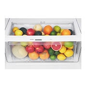 LG 437L Top Freezer Fridge in Black Metal Finish , GN-H432HXHC