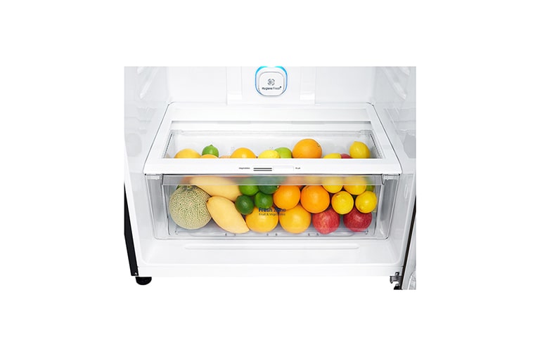 LG IEC Gross 516L Black Steel Top Freezer with Inverter Linear Compressor & DoorCooling+, GN-H602HXHU