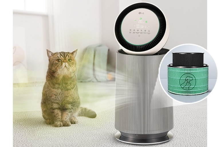 It makes the house pleasant by sucking up the smell from the cat