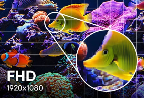 LG TV with Full HD resolution displays 1920x1080 detail as an underwater scene appears sharper with a finer pixel grid and zoomed-in fish, highlighting basic clarity and smoother visuals compared to lower resolutions.