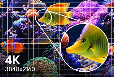 LG TV with 4K resolution displays 3840x2160 detail as an underwater scene appears sharper with a finer pixel grid and zoomed-in fish, highlighting improved clarity, defined textures, and more refined edges.