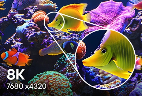 LG TV with 8K resolution displays 7680x4320 detail as an underwater scene shows an ultra-fine pixel grid and zoomed fish, emphasizing extremely dense pixels, highly refined textures, and seamless color transitions.