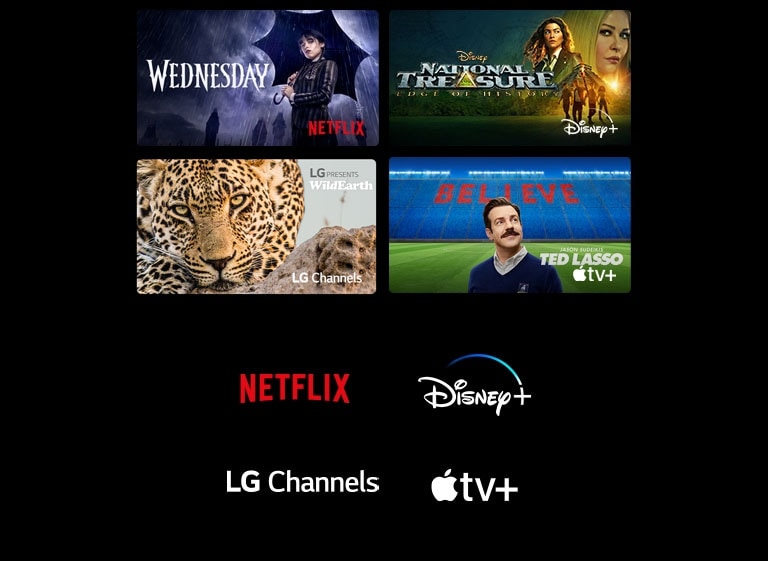 A poster of Wednesday from Netflix, National Treasure from Disney+, The Rings of Power from Prime Video, Ted Lasso from Apple TV Plus, and a still from LG Channels with a leopard in the wild.