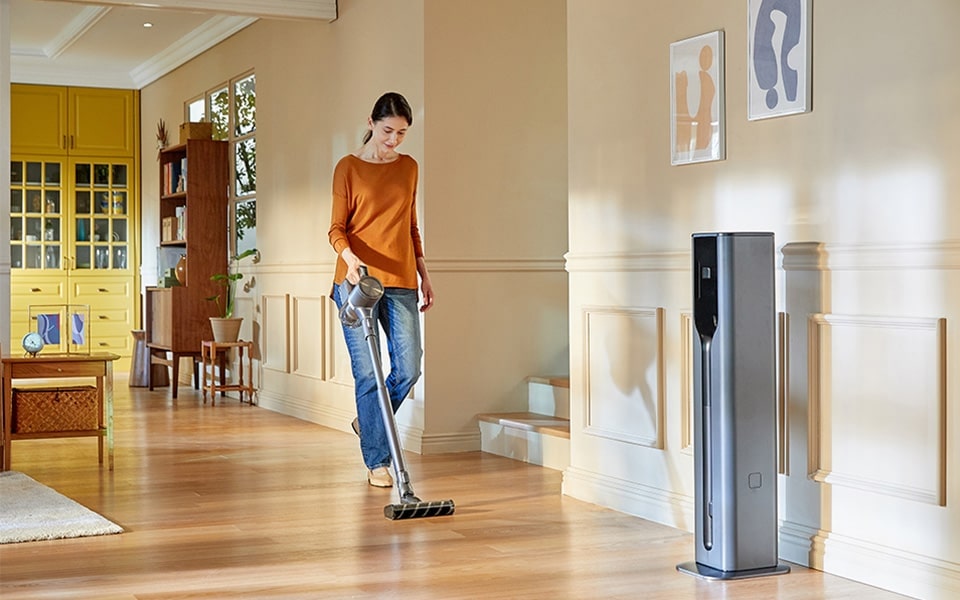 Choose a vacuum with a removable suction head