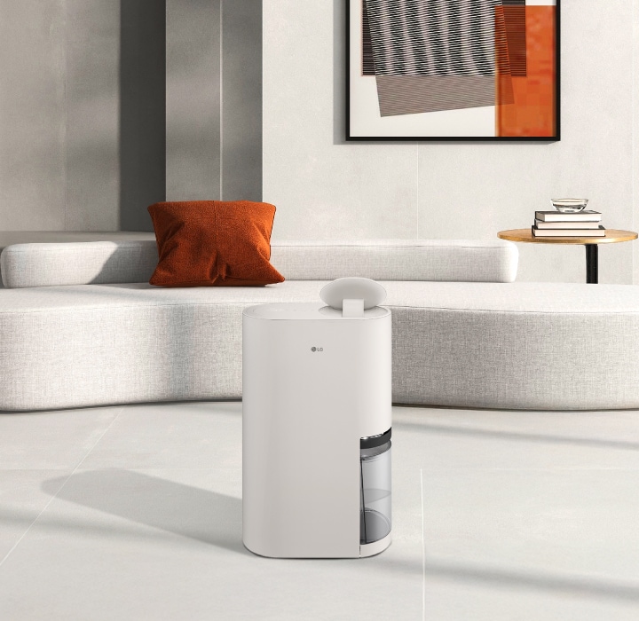 why dehumidifier