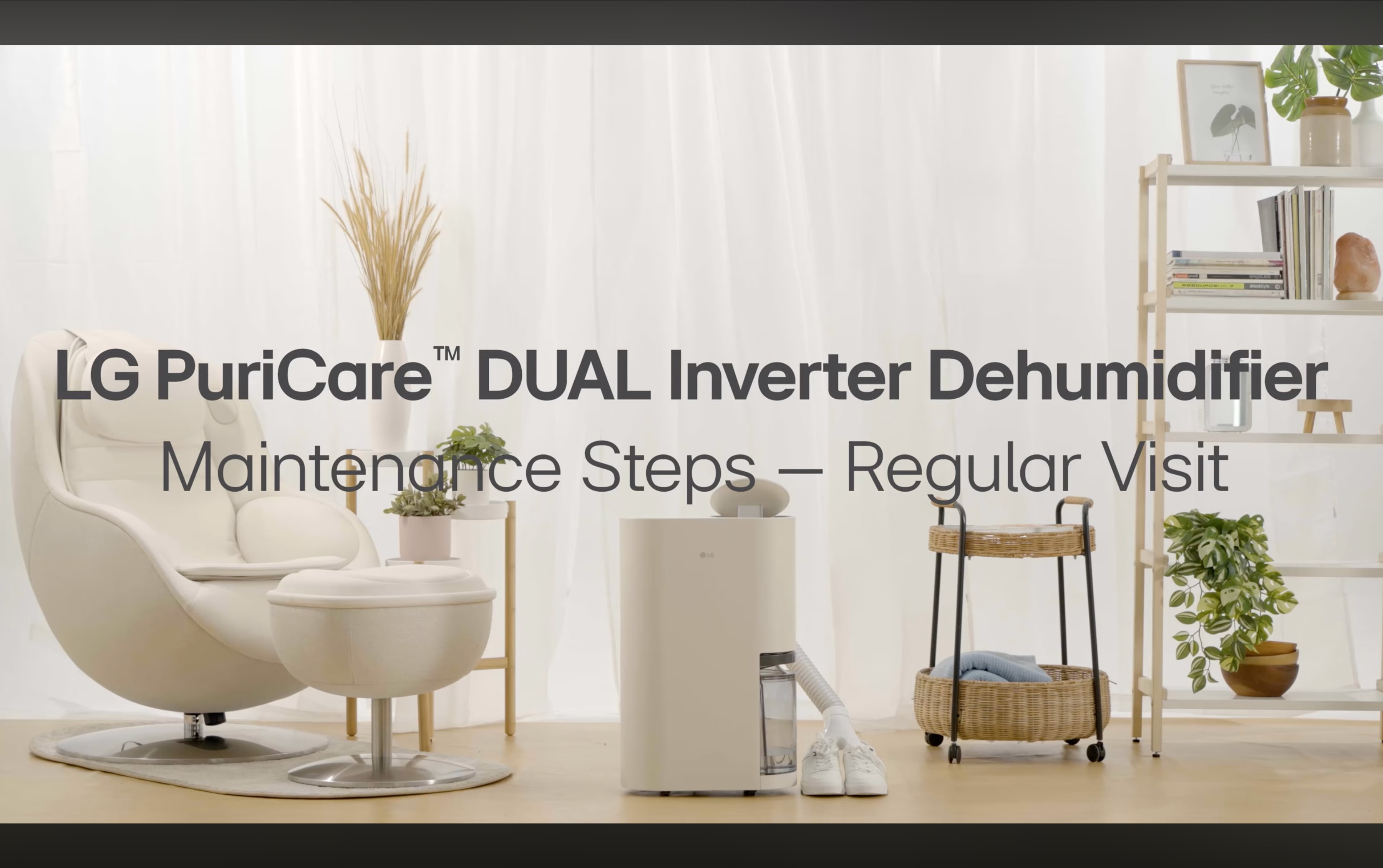 Dehumidifier Regular Visit