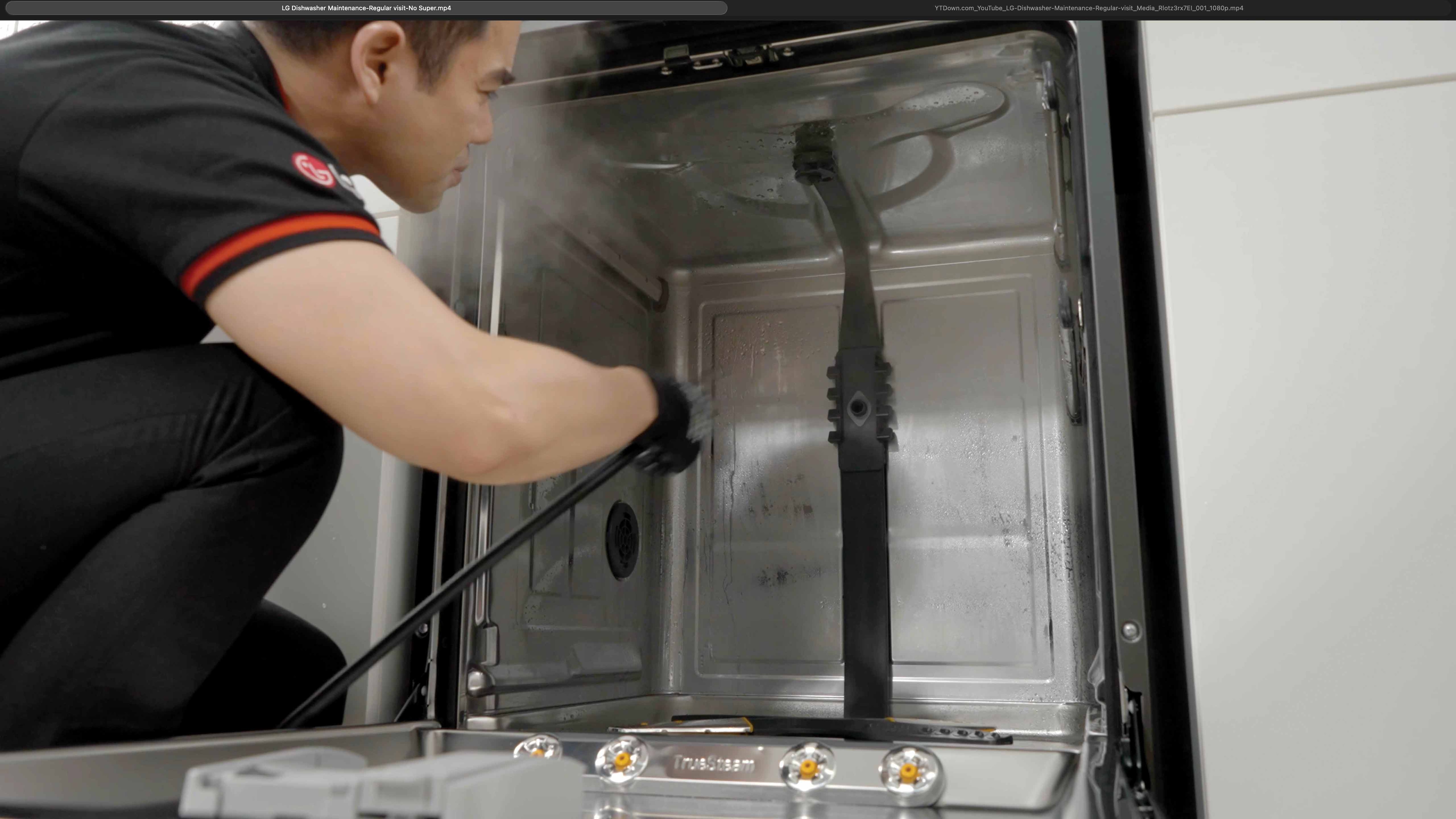 Steam Clean Interior