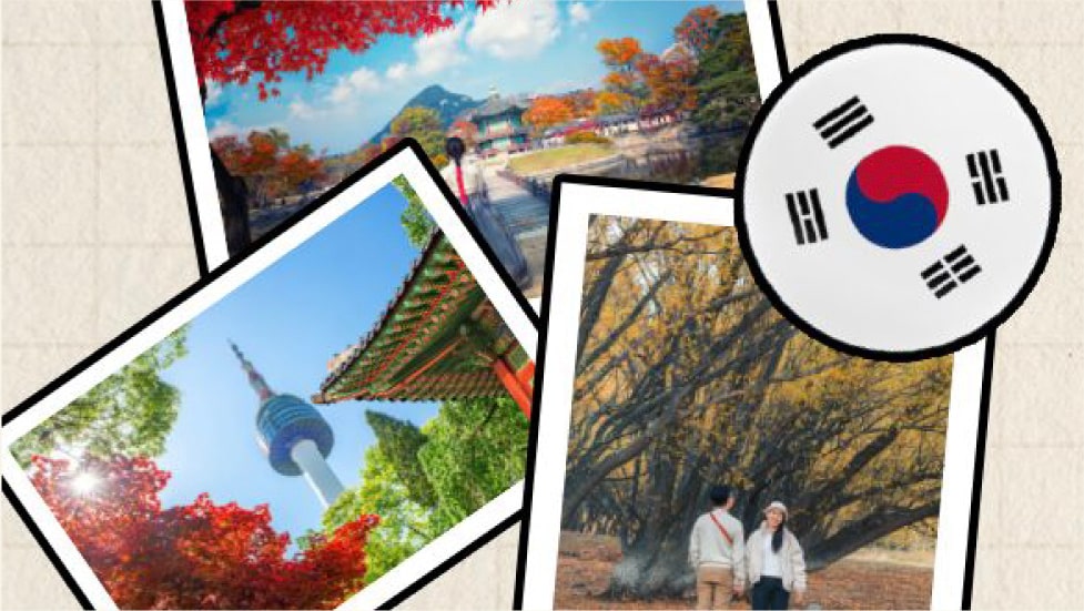Korea trip